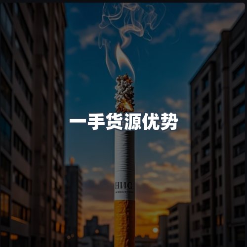 服务优势